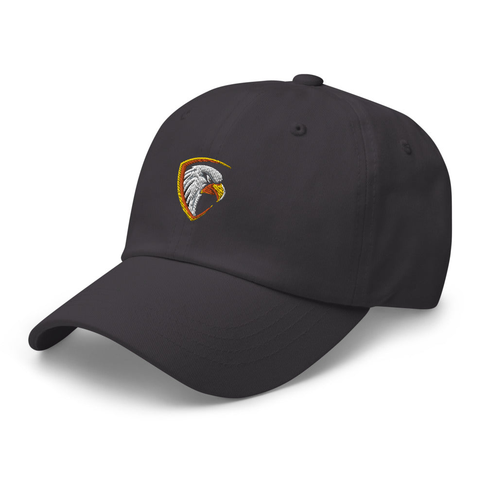 Eagle Shield Unisex Hat